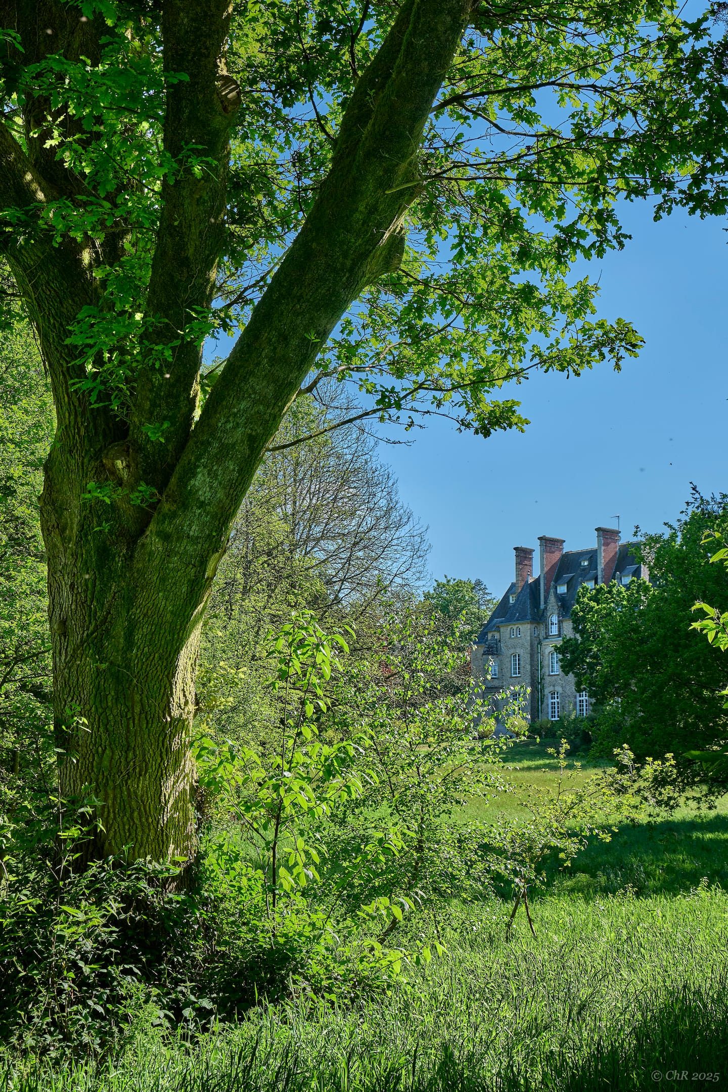 Le château aperçu entre les chênes du parc