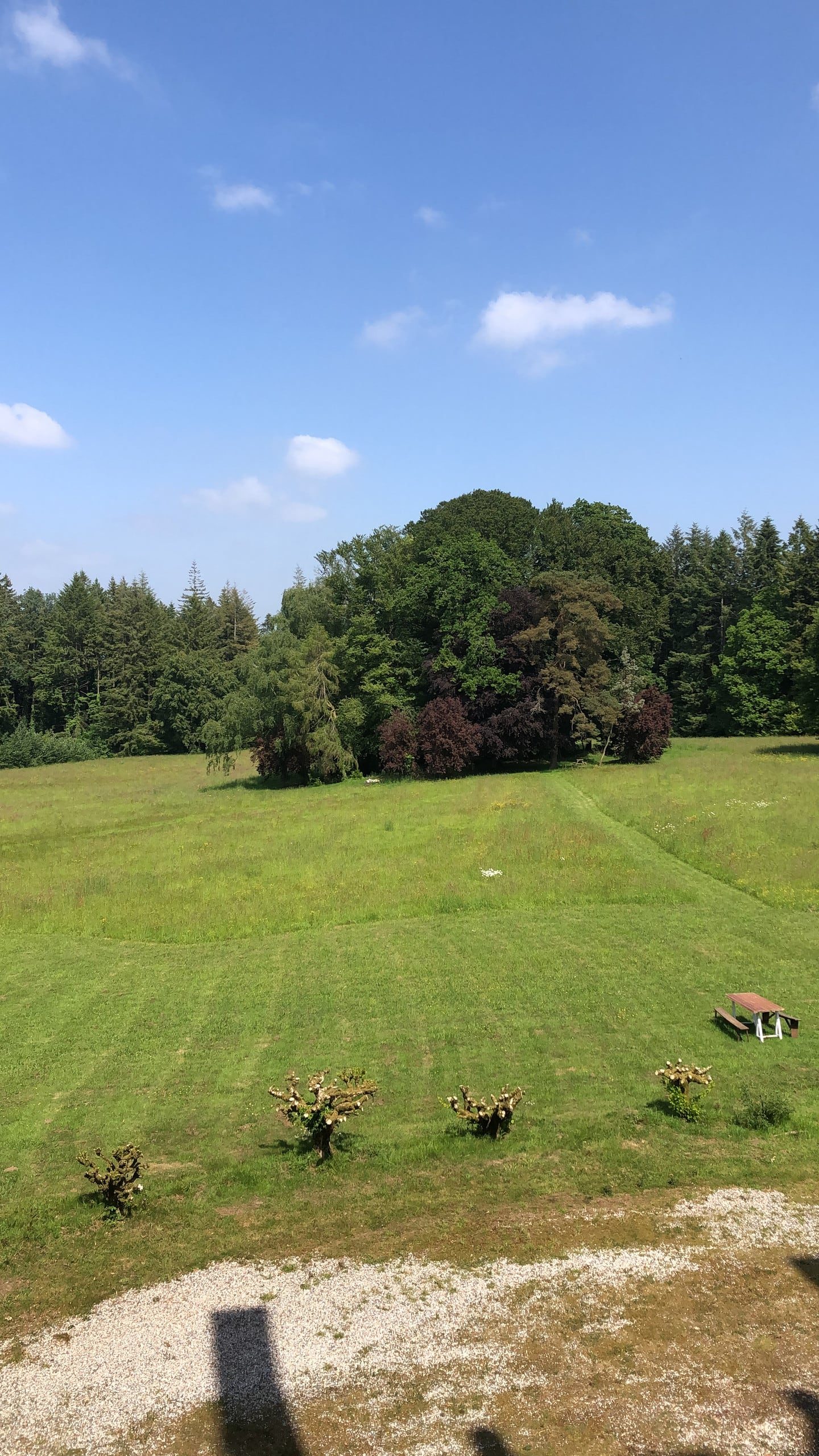 Les prairies du domaine